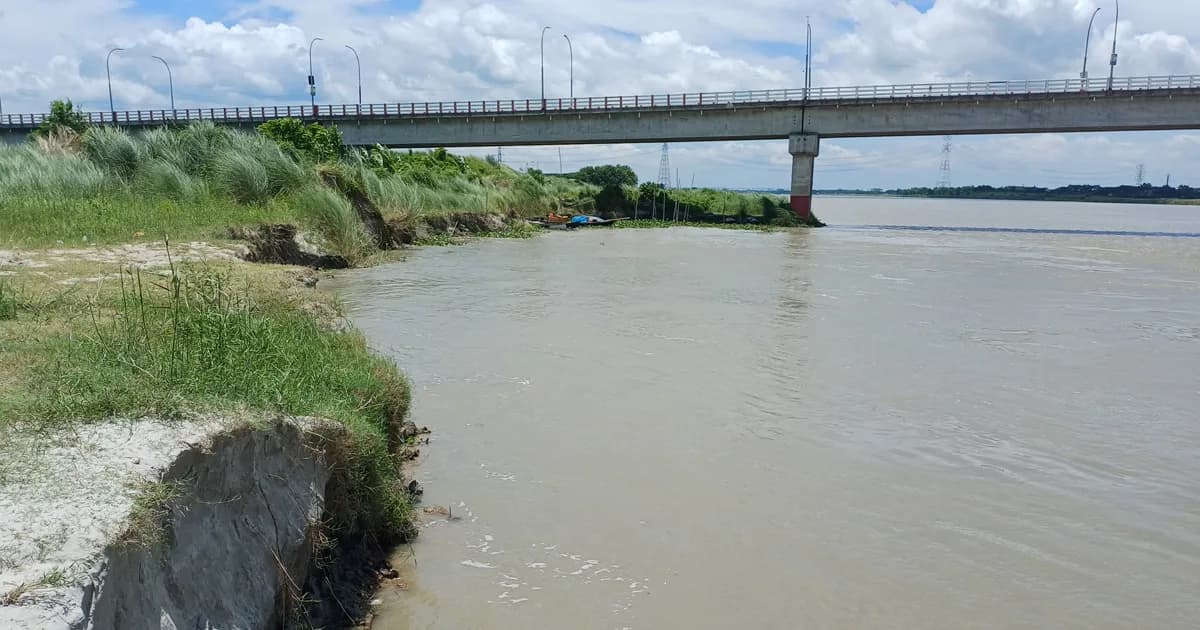 আড়িয়াল খাঁ নদে তীব্র ভাঙন, ঝুঁকিতে শিবচরের ‘লিটন চৌধুরী’ সেতু