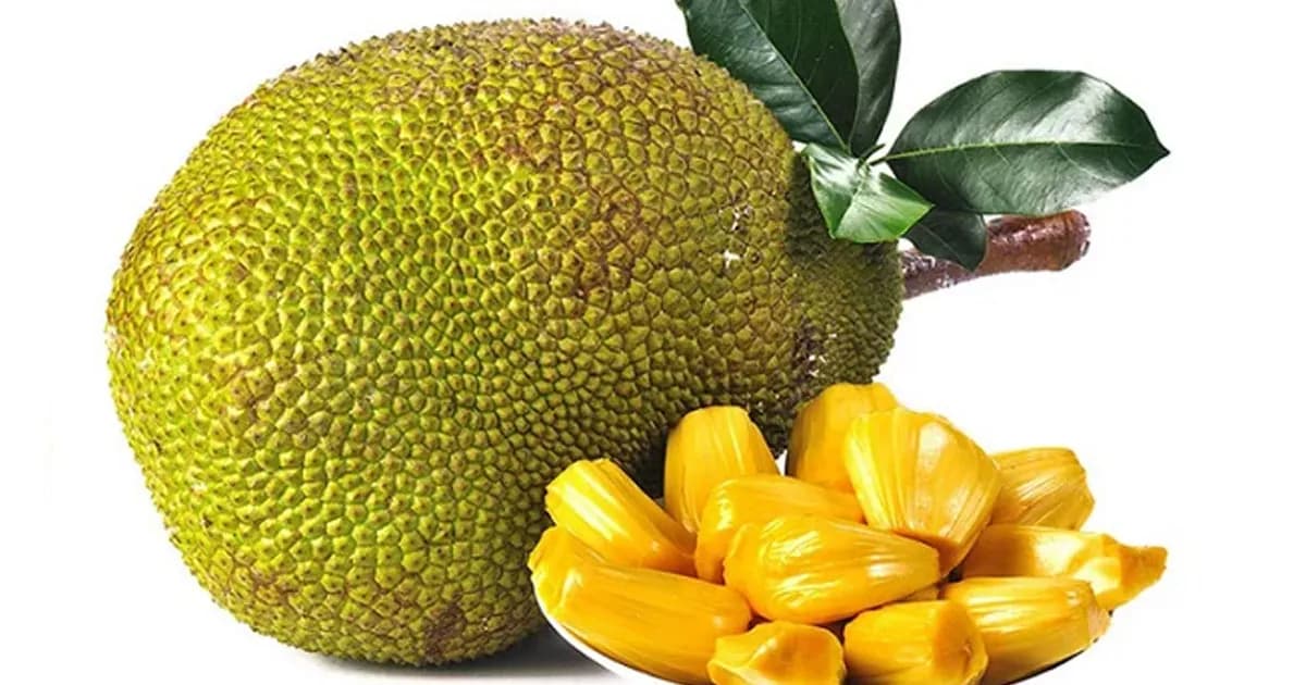 রপ্তানির পথ খুলছে, চীনে যাচ্ছে বাংলাদেশের কাঁঠাল