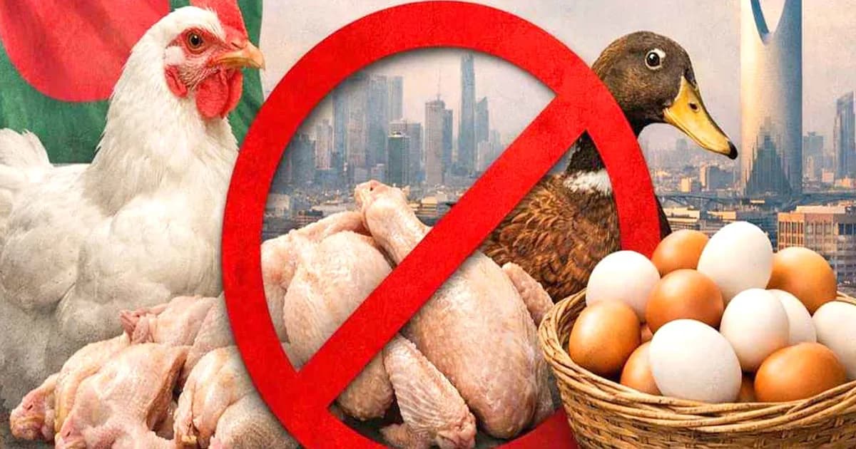 বাংলাদেশ থেকে হাঁস-মুরগি ও ডিম আমদানি নিষিদ্ধ করল সৌদি আরব