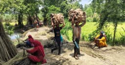 মধুখালীতে পাট জাগ ও আঁশ ছাড়ানোর কাজে ব্যস্ত কৃষক