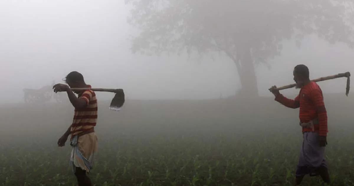 ফিরে এসেছে শৈত্যপ্রবাহ, অব্যাহত থাকতে পারে তিন জেলায়