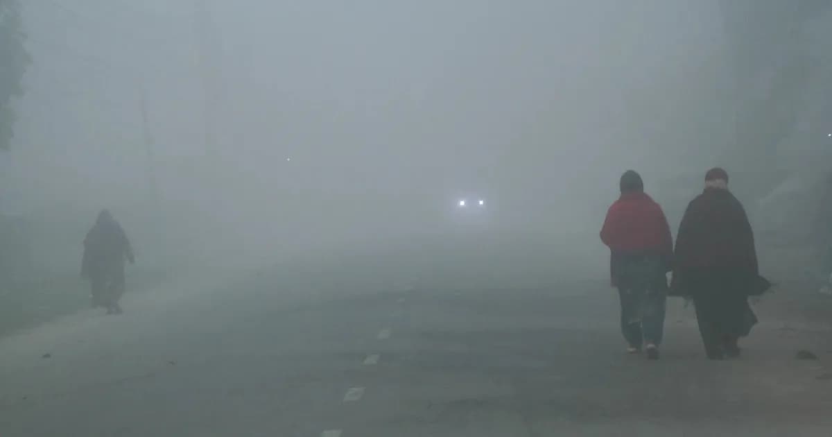 আসছে হাড়কাঁপানো শীত, শৈত্যপ্রবাহের সঙ্গে থাকবে ঘন কুয়াশা
