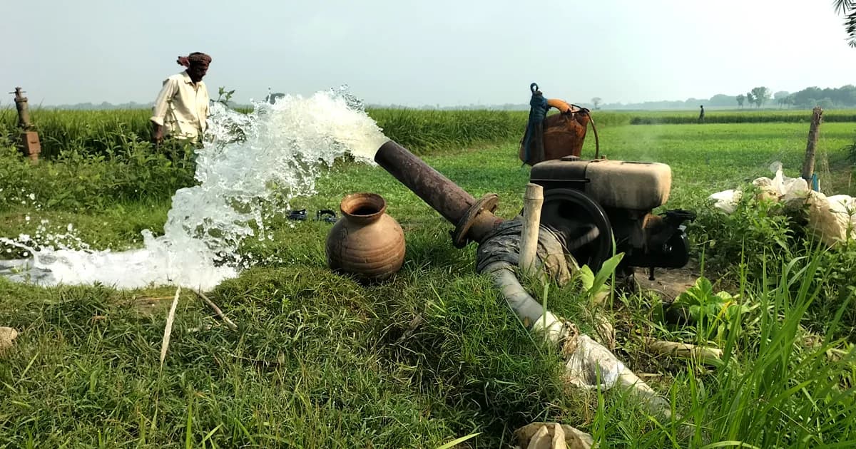 মহেশপুরে বোরো আবাদ লক্ষ্যমাত্রা ছাড়ালেও সেচ সংকটে বিপাকে কৃষক