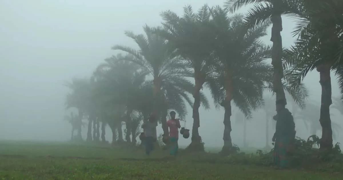 চুয়াডাঙ্গায় কাঁপুনি ধরাচ্ছে শীত, কুয়াশায় ঢাকা সকাল