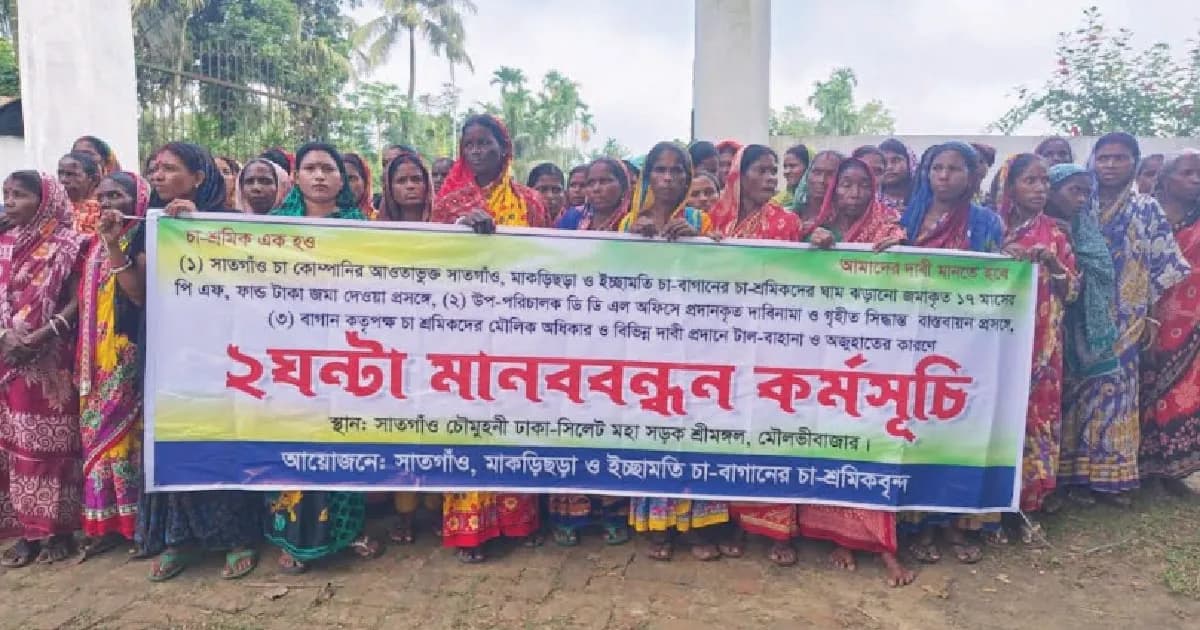 বকেয়া প্রভিডেন্ট ফান্ডের দাবিতে শ্রীমঙ্গলে তিন বাগানের শ্রমিকদের মানববন্ধন