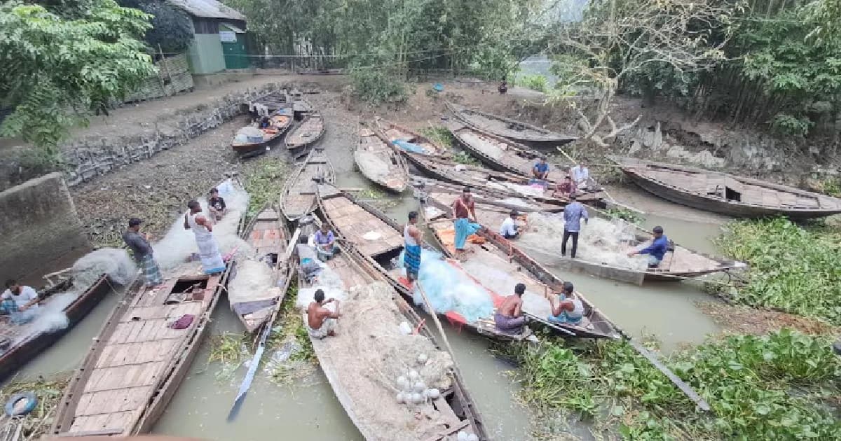 মধ্যরাতে ইলিশ ধরতে নদীতে নামবেন জেলেরা