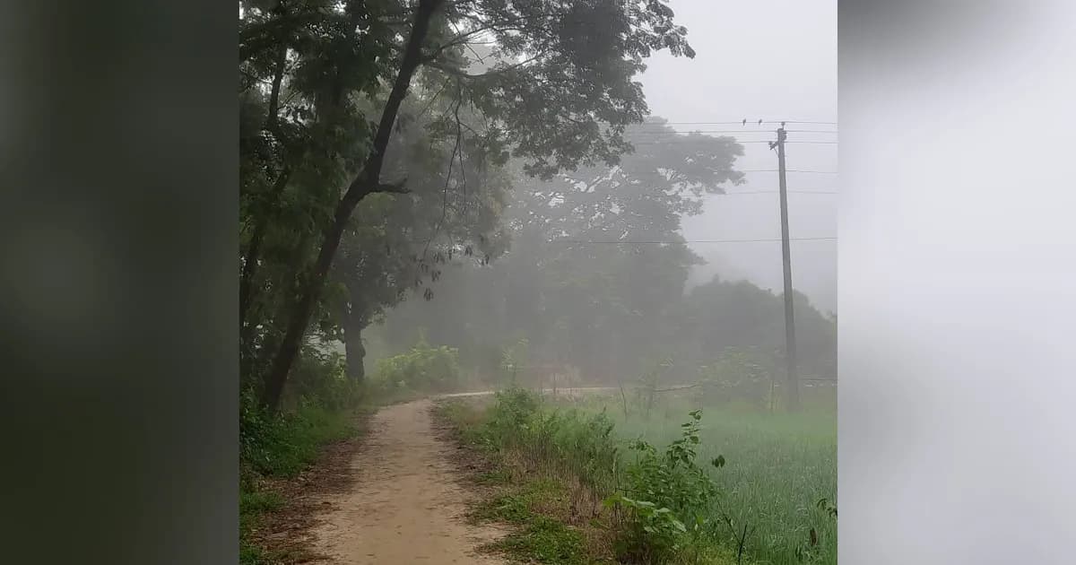 ভোরের কুয়াশা ও হিমেল হাওয়ায় শীতের আগমনী বার্তা