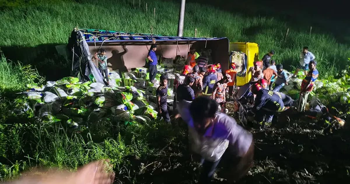 কুমিল্লায় চালবোঝাই ট্রাক নিয়ন্ত্রণ হারিয়ে খাদে, নিহত ৭