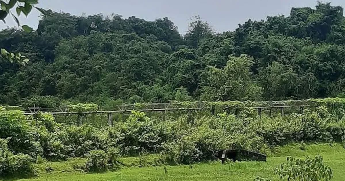 সীমান্তে মাইন বিস্ফোরণে উড়ে গেল যুবকের পা