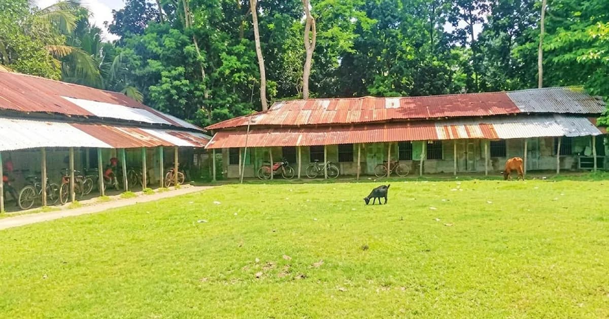 বরিশালের ৮ কলেজে একাদশ শ্রেণিতে এবারও মেলেনি কোনো শিক্ষার্থী