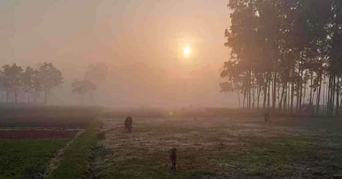 আগামী ৫দিন যেমন থাকতে পারে রাত-দিনের তাপমাত্রা