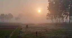 আগামী ৫দিন যেমন থাকতে পারে রাত-দিনের তাপমাত্রা