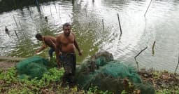 মহেশপুরে নিষিদ্ধ চায়না দুয়ারি জালের বিরুদ্ধে প্রশাসনের অভিযান
