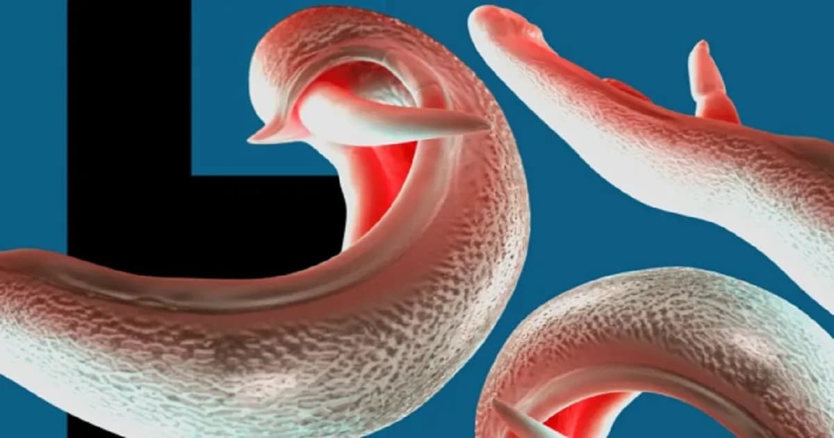 নতুন পরজীবীর হানা, যৌনাঙ্গ সংক্রমণ নিয়ে বিজ্ঞানীদের সতর্কতা