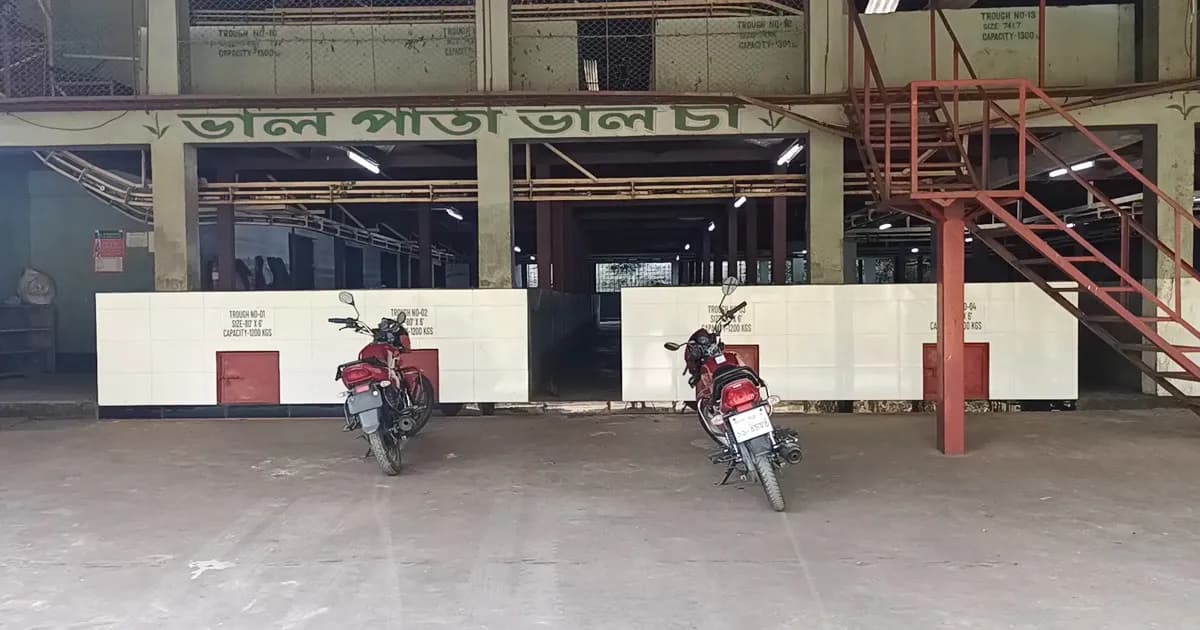 হাজীনগর চা বাগানের বিদ্যুৎ সমস্যা সমাধান করতে গিয়ে বিপাকে কর্তৃপক্ষ