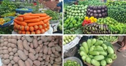 টানা বৃষ্টিতে সবজির বাজারে আগুন, কাঁচামরিচের কেজি ২০০ টাকা