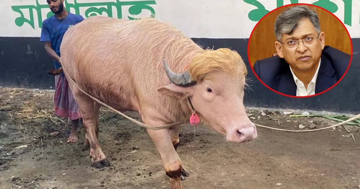 স্বরাষ্ট্রমন্ত্রীর হস্তক্ষেপে কোরবানি হচ্ছে না ‘ডোনাল্ড ট্রাম্প’