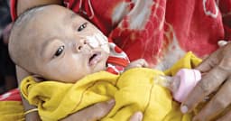 হামে ১৫ জনের মৃত্যু