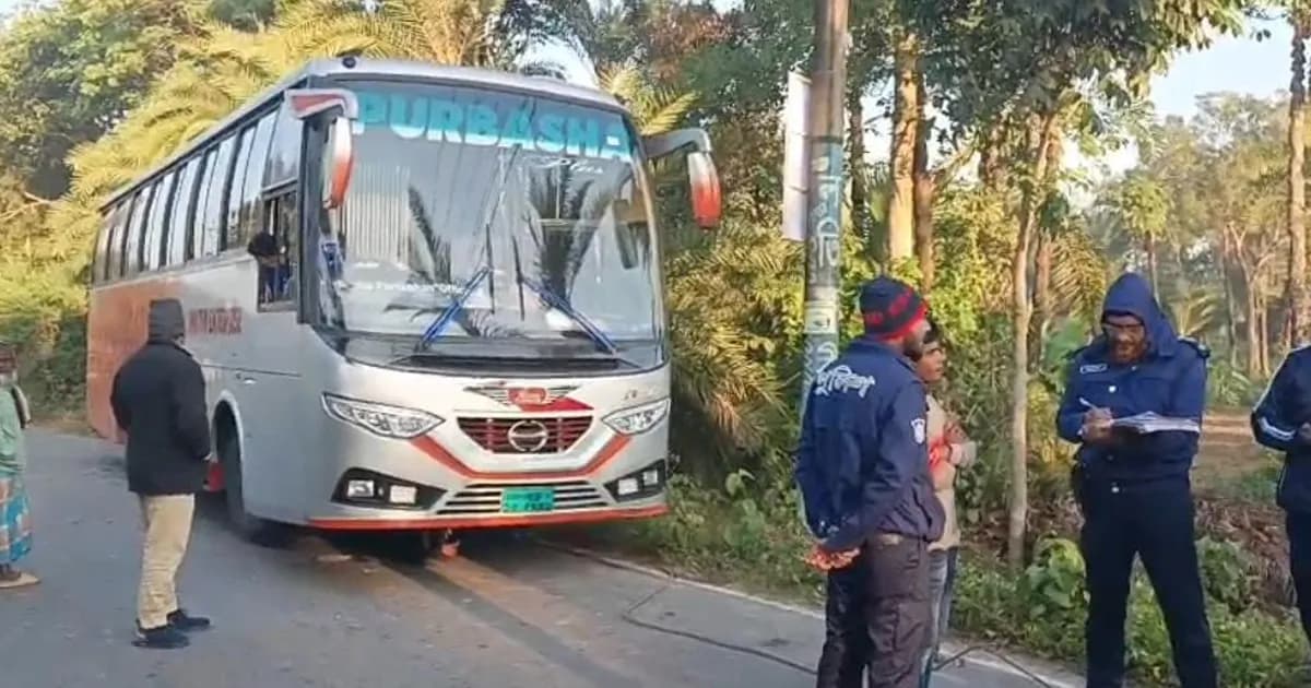 জীবননগরে সড়কে গাছ ফেলে পূর্বাশা পরিবহনে ডাকাতি