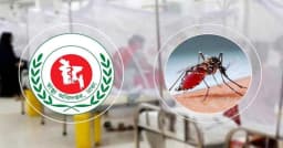 ডেঙ্গু মোকাবিলায় সর্বাত্মক প্রস্তুত সরকার: স্বাস্থ্যমন্ত্রী