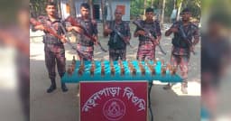 মহেশপুর সীমান্তে বিজিবির অভিযানে ভারতীয় মদ, গাঁজা ও ভায়াগ্রা উদ্ধার