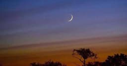 মধ্যপ্রাচ্যে আজ রজবের চাঁদ উঠলে, যে দিন থেকে পবিত্র রমজান শুরু