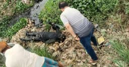 সিদ্ধিরগঞ্জে ক্যানেলের পানিতে অজ্ঞাত ব্যক্তির মরদেহ উদ্ধার