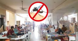 ডেঙ্গুতে মৃত্যুর সংখ্যা আড়াইশ ছাড়াল