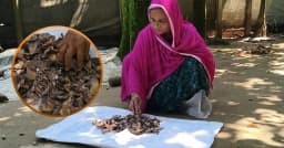 ১০ বছরের কষ্টের সঞ্চয় জর্দার কৌটায়, খুলে দেখলেন সব শেষ