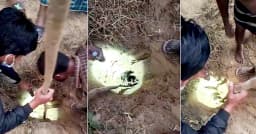 রাউজানে নলকূপে গর্তে পড়ে গেছে ৫ বছরের শিশু, চলছে উদ্ধার অভিযান