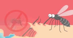 ২৪ ঘণ্টায় ডেঙ্গুতে আরও ৬ জনের মৃত্যু