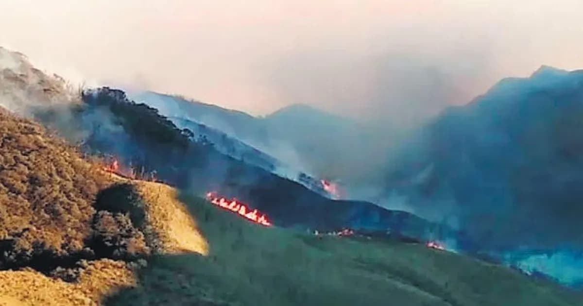 ভারতের নাগাল্যান্ডে দাবানল, তিন দিন ধরে জ্বলছে জুকো উপত্যকা