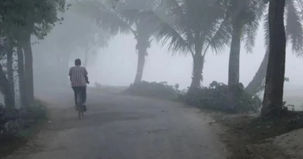 পঞ্চগড়ে দিনের তাপমাত্রা বাড়লেও কমছে রাতে