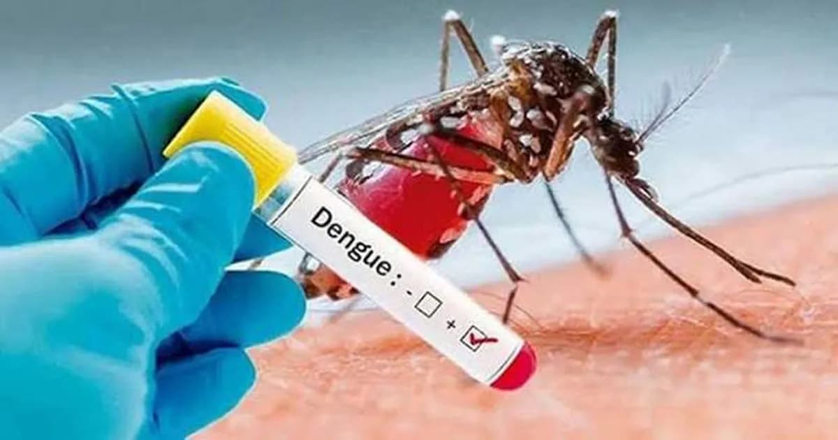 ডেঙ্গুতে একদিনে আরও ৬ মৃত্যু, হাসপাতালে ভর্তি ১৫৬১ জন