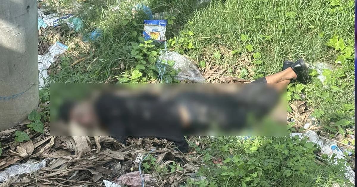 পূবাইলে সড়কের পাশে অজ্ঞাত যুবকের মরদেহ উদ্ধার