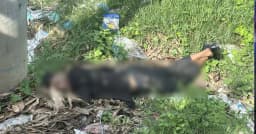 পূবাইলে সড়কের পাশে অজ্ঞাত যুবকের মরদেহ উদ্ধার