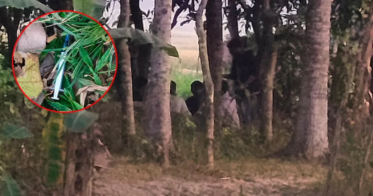 দামুড়হুদায় মাদকের বিস্তার, নতুন কারবারির উত্থান