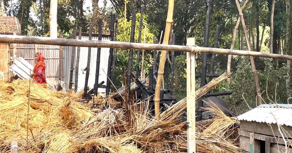 সদরপুরে আগুনে পাঁচ পশুর মৃত্যু, ক্ষতি ৫-৬ লাখ টাকা