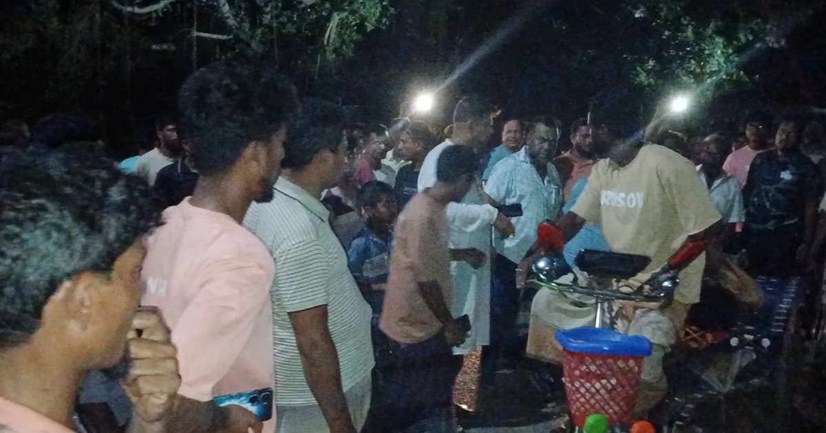 আলমডাঙ্গায় চোর সন্দেহে ভ্যান চালককে পিটিয়ে হত্যার অভিযোগ