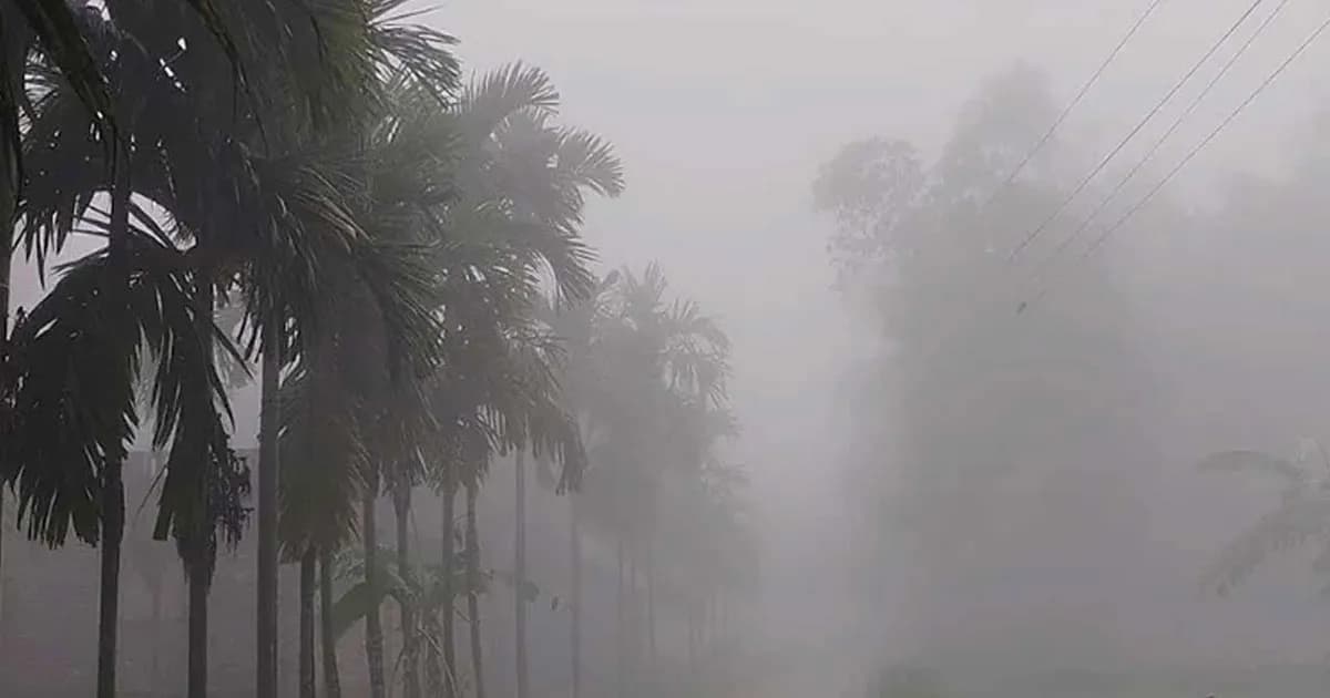 পঞ্চগড়ে শীতের আগমনী বার্তা, একদিনে আরও কমলো তাপমাত্রা