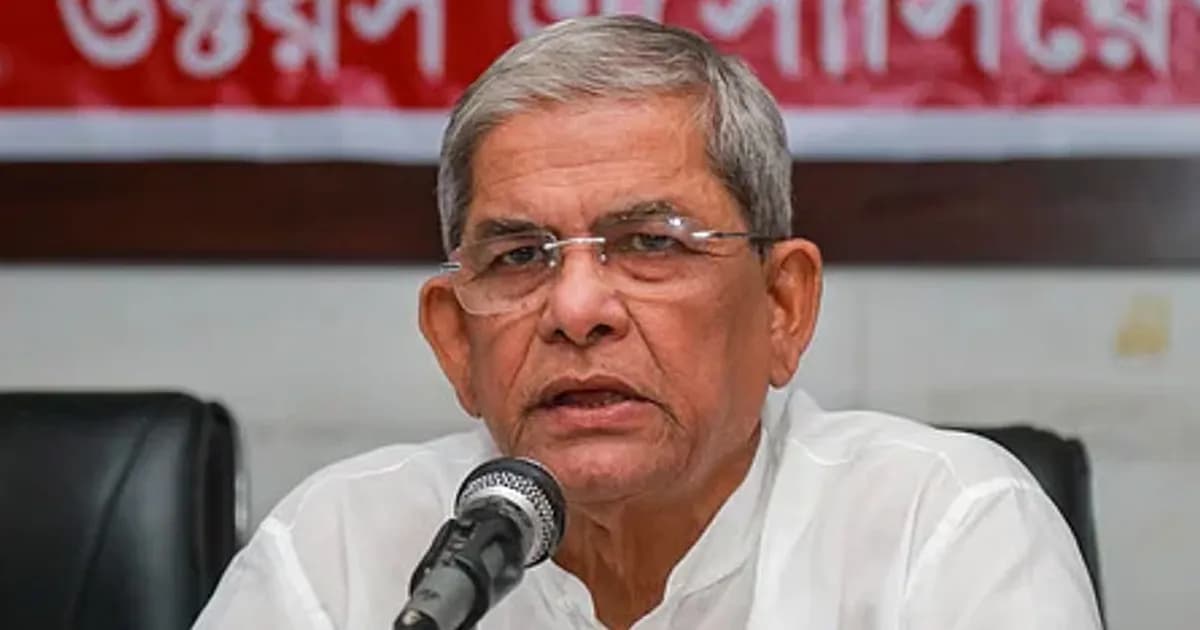 স্থানীয় সরকার মন্ত্রণালয়ের দায়িত্ব পাচ্ছেন মির্জা ফখরুল