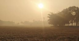 পঞ্চগড়ে ক্রমেই বাড়ছে শীতের দাপট, তাপমাত্রা নামল ১২ ডিগ্রিতে