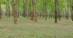 ফুলবাড়ীয়ায় উচ্ছ্বাস সন্তোষপুরে ইকোপার্ক ঘোষণা
