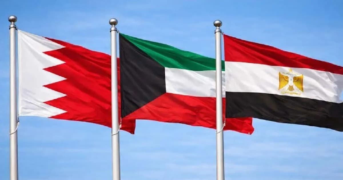 বাহরাইন ও কুয়েতের পররাষ্ট্রমন্ত্রীর সঙ্গে মিশরের মন্ত্রীর ফোনালাপ