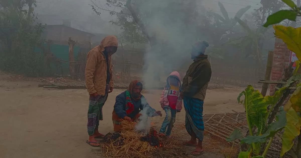 শীতে জমে গেছে চুয়াডাঙ্গা, বিপর্যস্ত জনজীবন