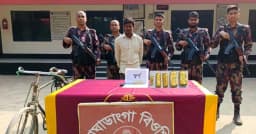 মহেশপুরে নির্বাচনী প্রস্তুতি ও স্বর্ণ চোরাচালান রোধে বিজিবির দ্বিমুখী তৎপরতা