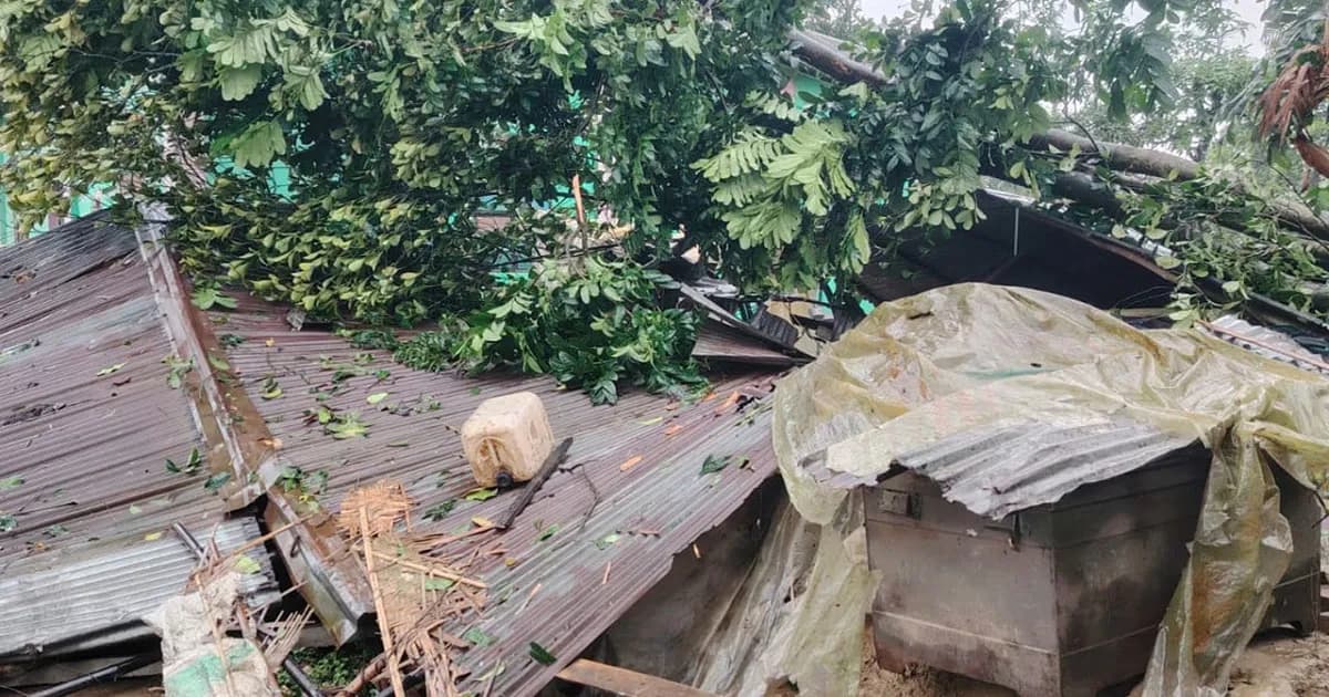 মাত্র এক মিনিটের ঝড়ে অর্ধশতাধিক ঘরবাড়ি তছনছ