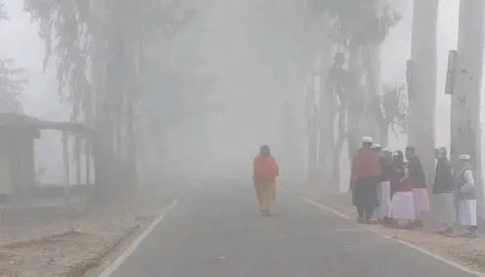 কুমিল্লায় বৃষ্টির মতো ঝরছে কুয়াশা, বিপর্যস্ত জনজীবন