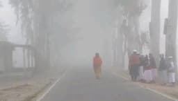 কুমিল্লায় বৃষ্টির মতো ঝরছে কুয়াশা, বিপর্যস্ত জনজীবন