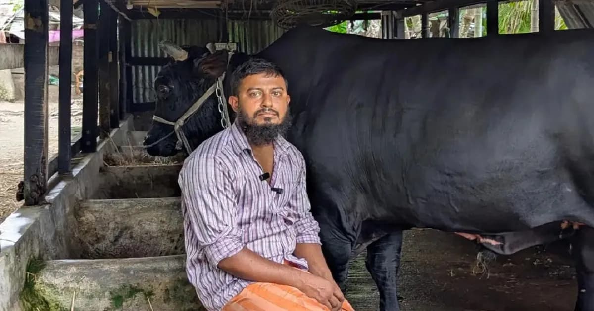 খালেদা জিয়াকে ‘কালো মানিক’ উপহার দেওয়া সোহাগ মৃধা গ্রেপ্তার